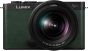 PANASONIC LUMIX S9 KIT 20-60 MM GREEN