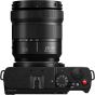PANASONIC LUMIX S9 KIT 20-60 MM GREEN