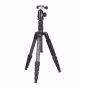 COMAN TRPPIEDE EMU 258 CARBONIO TM258CC0