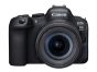 CANON EOS R6 MKII + 24-105 F4-7.1 IS STM